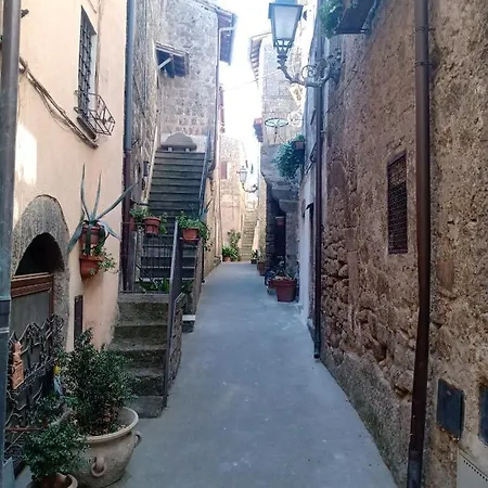 Sacrobosco Pioppo